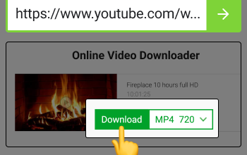 youtube downloader